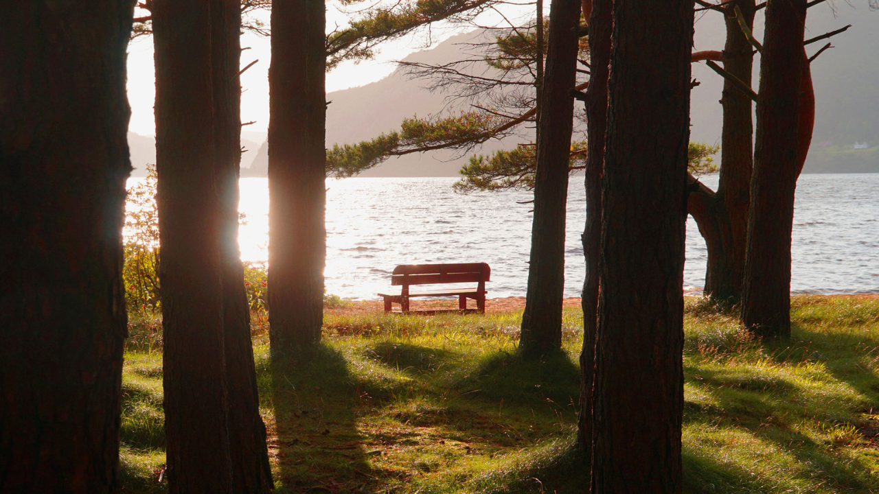 camping lyngdal