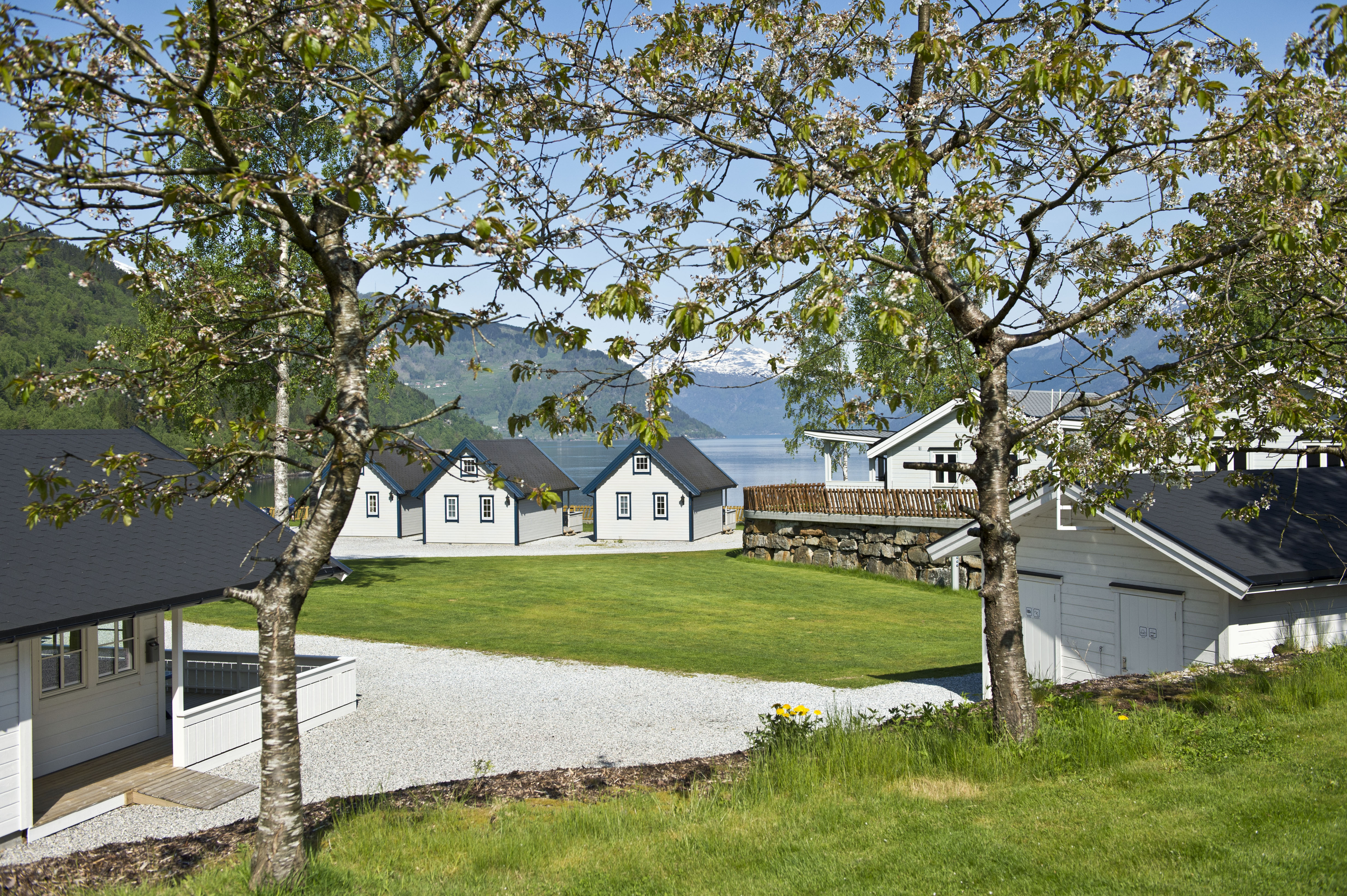 camping ved fjorden