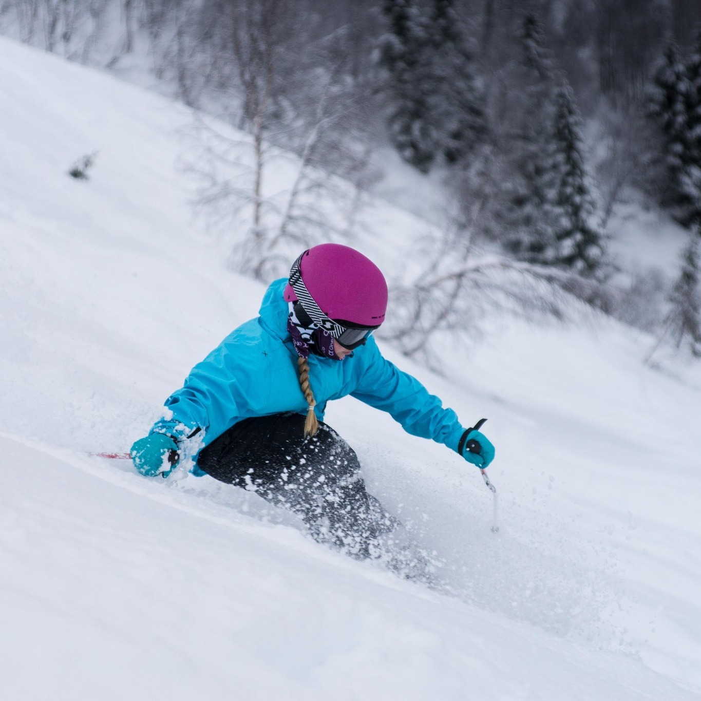 gaupnetunet vinternferie og ski