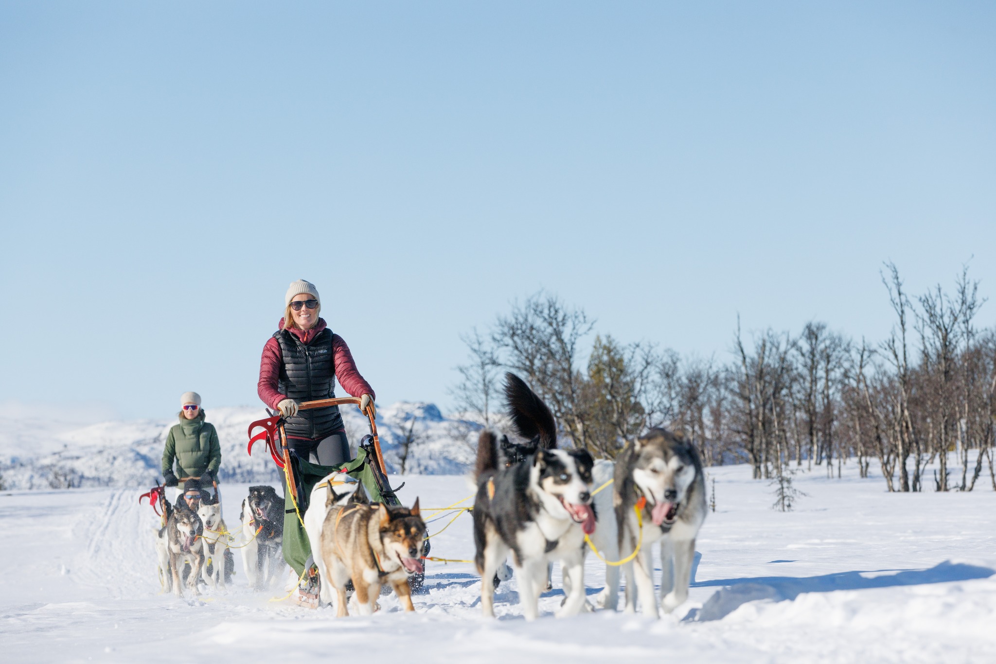 husky sledge i geilo