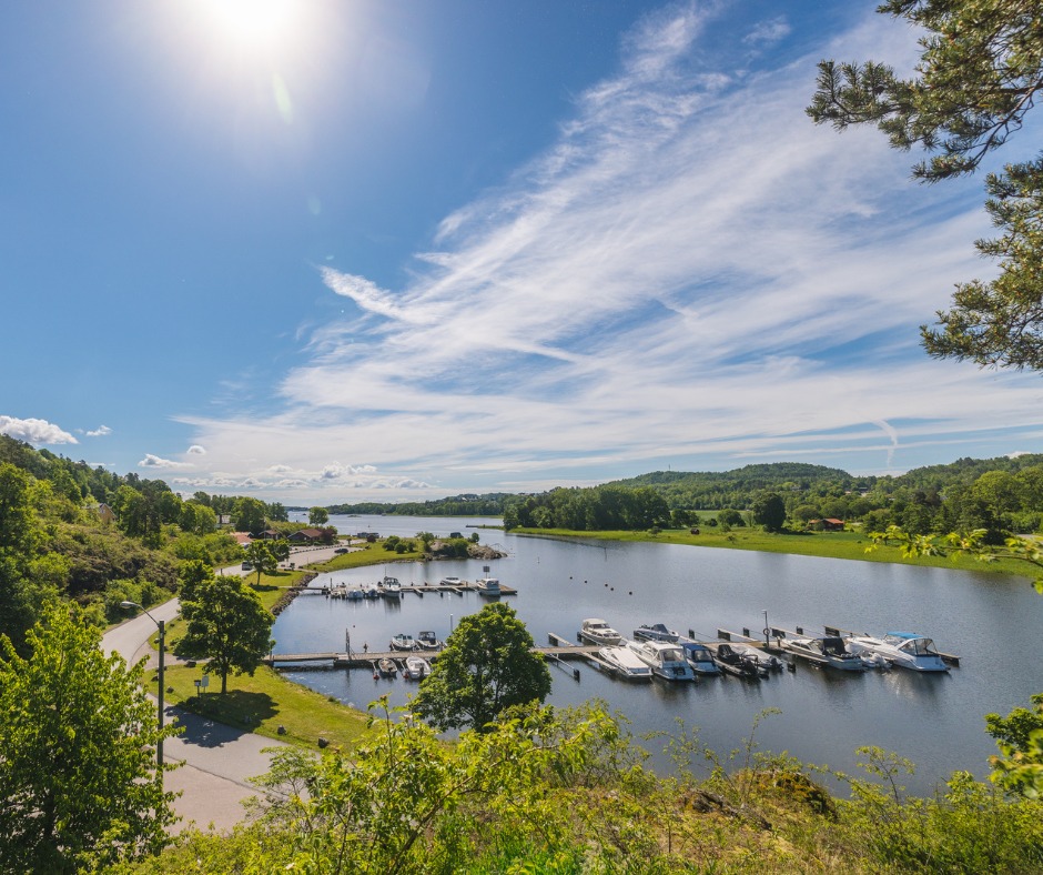løvøya i sommer
