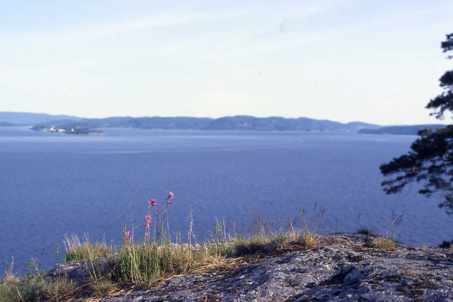 Løvøya Oslofjord 