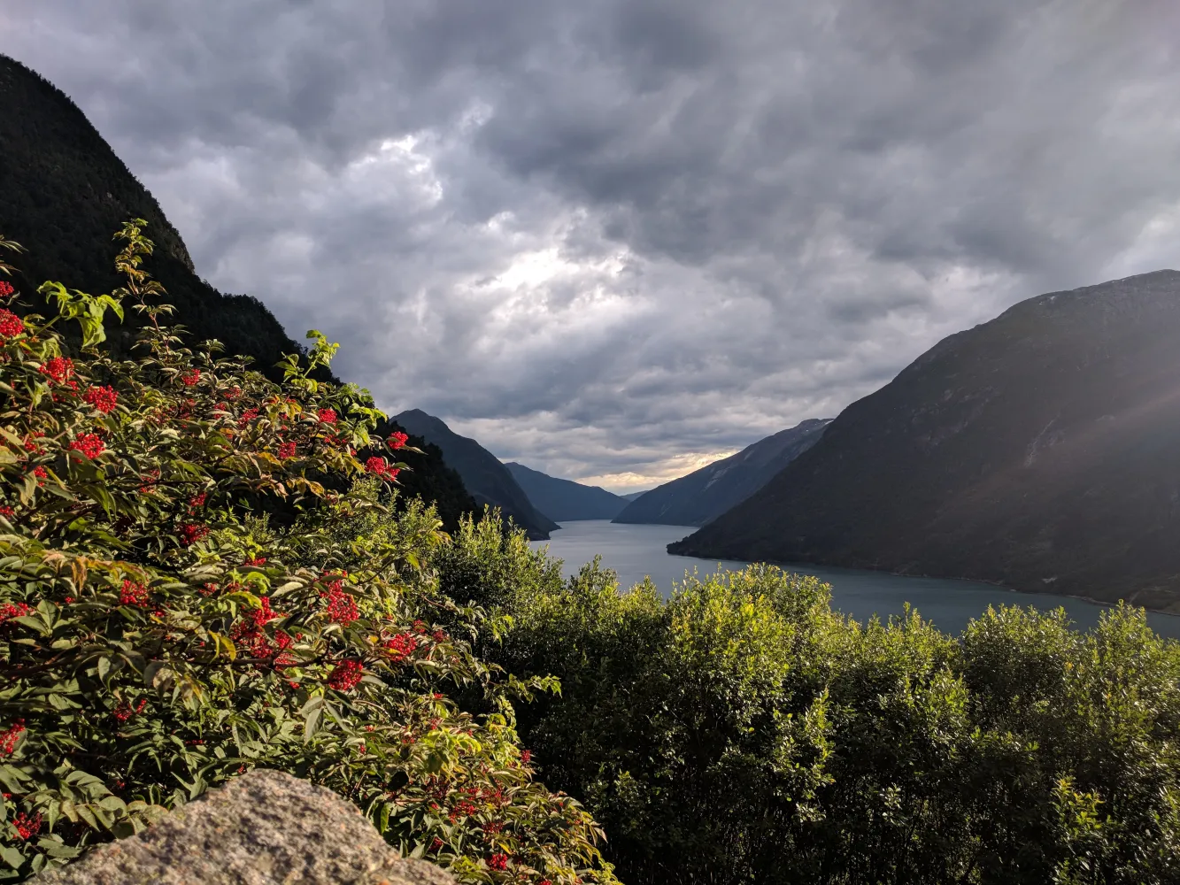 Sognefjorden