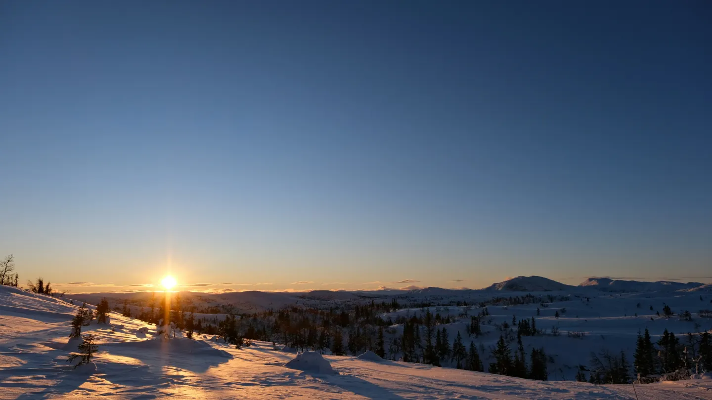 Pluscamp - vinterlandskap